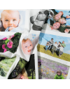 Custom printed photo panel on cotton quilting fabric - 12 photos 10x15 cm