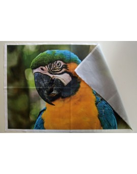 Your large picture printed on fabric