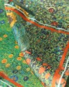 Lote pañuelo y neceser de seda estampados Klimt Jardín con girasoles